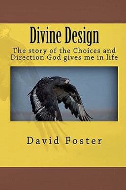 Divine Design 9781460919538