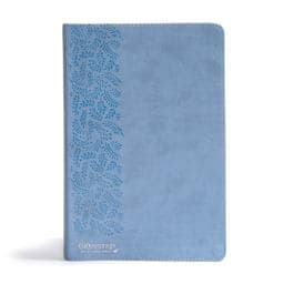 CSB (in)courage Devotional Bible, Blue LeatherTouch 9781462785056