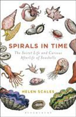 Spirals in Time 9781472911384