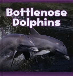 Bottlenose Dolphins 9781474761512