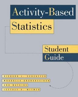Activity-Based Statistics 9781475738438