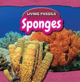 Sponges 9781477758441