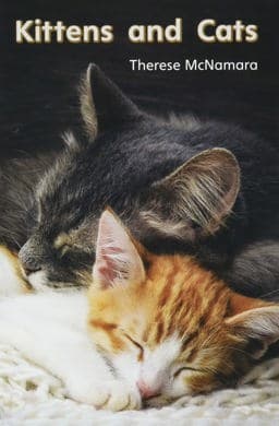 Myview Literacy 2020 Leveled Reader Grade 1: Kittens and Cats 9781486905072