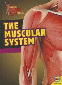 Muscular System 9781489611703