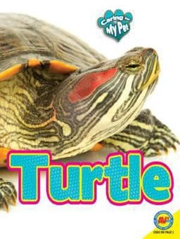 Turtle 9781489629746