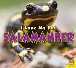 Salamander 9781489631077