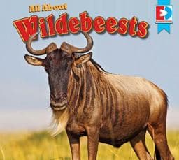 All about Wildebeests 9781489657107