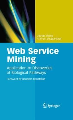 Web Service Mining 9781489989598