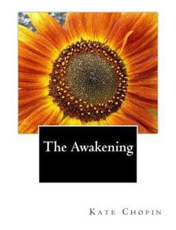 The Awakening 9781492280033