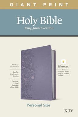 Holy Bible 9781496447678