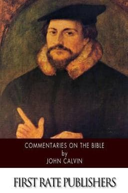 Commentaries on the Bible 9781500209858