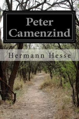 Peter Camenzind 9781500233587