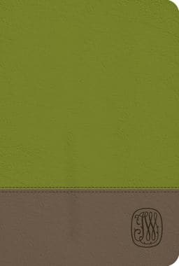 NRSV Wesley Study Bible 9781501881237