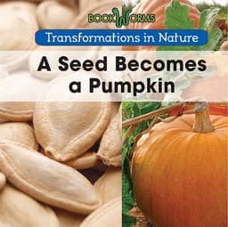 A Seed Becomes a Pumpkin 9781502608161