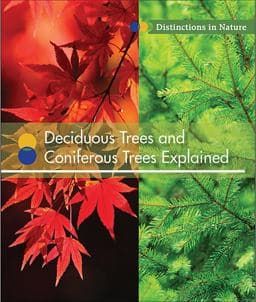 Deciduous Trees and Coniferous Trees Explained 9781502617699