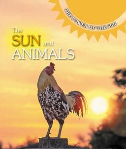 The Sun and Animals 9781502646644