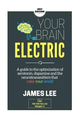 Your Brain Electric 9781503072213