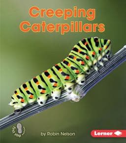 Creeping Caterpillars 9781512412178