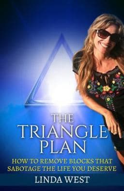 The Triangle Plan 9781514825082