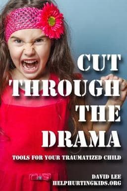 Cut Through the Drama 9781517300845