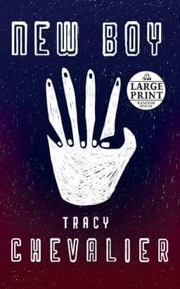 New Boy 9781524779467