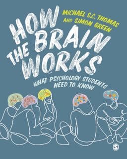 How the Brain Works 9781529741940