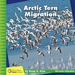 Arctic Tern Migration 9781534170254