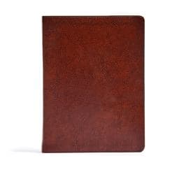 CSB Verse-By-Verse Reference Bible, Brown Bonded Leather 9781535990462