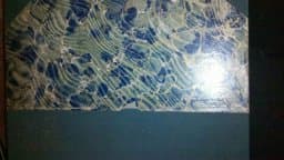 In His Steps 9781557481573