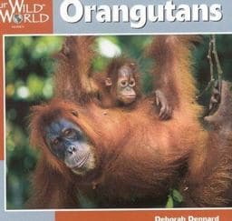Orangutans 9781559718486