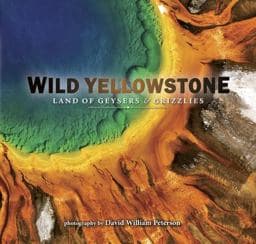 Wild Yellowstone 9781560378181