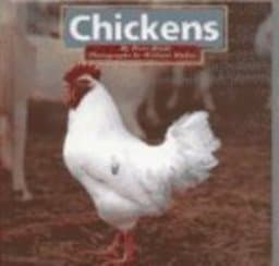 Chickens 9781560653479