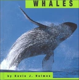 Whales 9781560656012