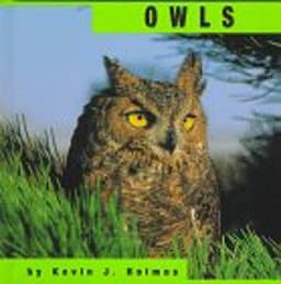 Owls 9781560656036