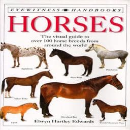 Horses 9781564581778
