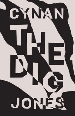 The Dig 9781566893930