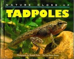 Tadpoles 9781567111798