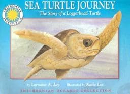 Sea Turtle Journey 9781568991894