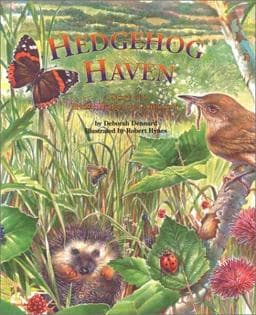 Hedgehog Haven 9781568999883