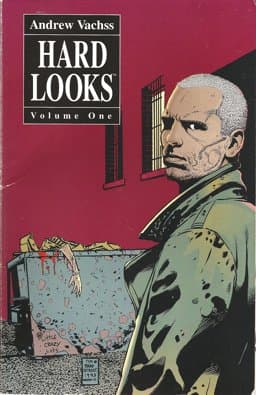 Hard Looks 9781569710098