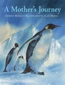 A Mother's Journey 9781570916229