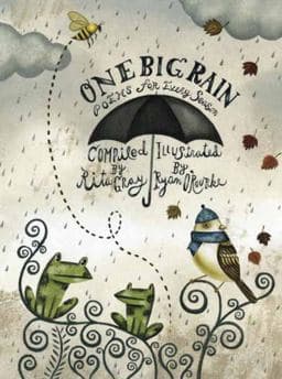 One Big Rain 9781570917172