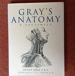 Gray's Anatomy 9781571457271