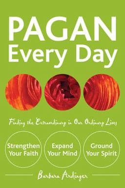Pagan Every Day 9781578633326