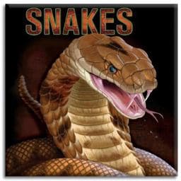 Snakes 9781581177992