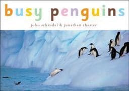 Busy Penguins 9781582460161
