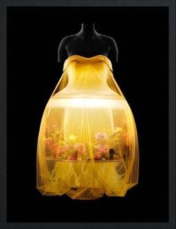 Sleeping Beauties 9781588397775