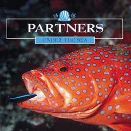 Partners 9781589521148