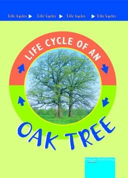 Oak Tree 9781589523500