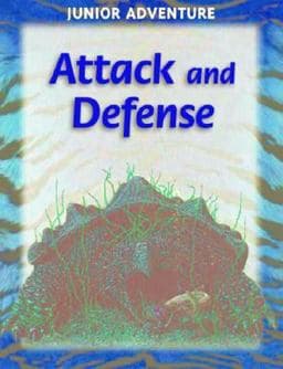Attack and Defense 9781590841747